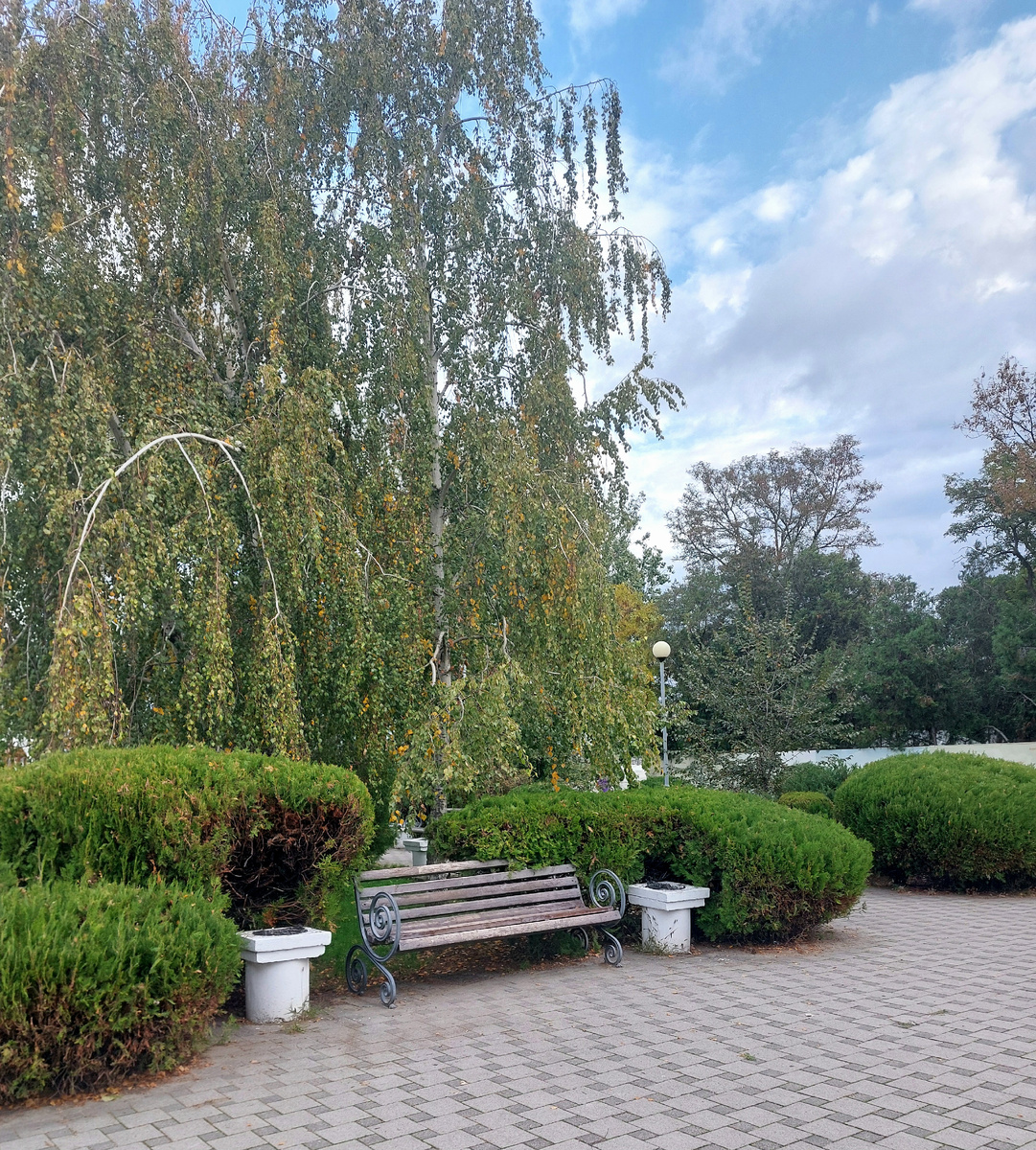 Фото автора