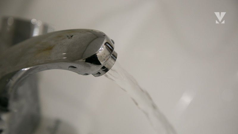      Фото: Валерия Алтухова / / ИА «Победа26»