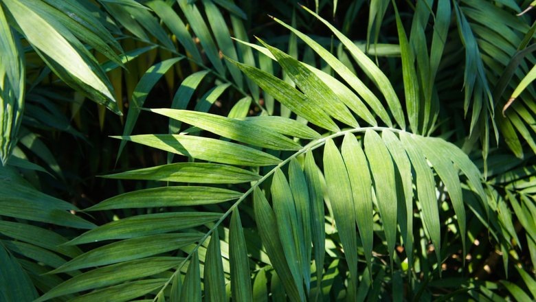 Источник: Shutterstock