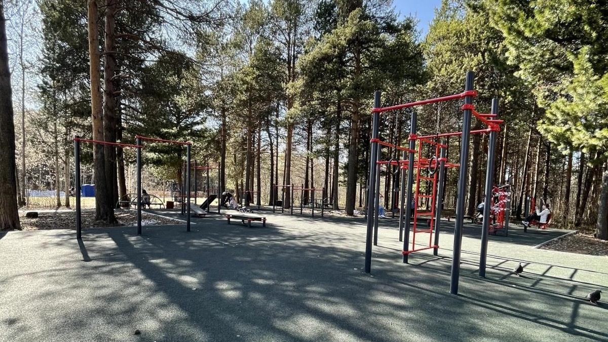 Фото: workout.su 