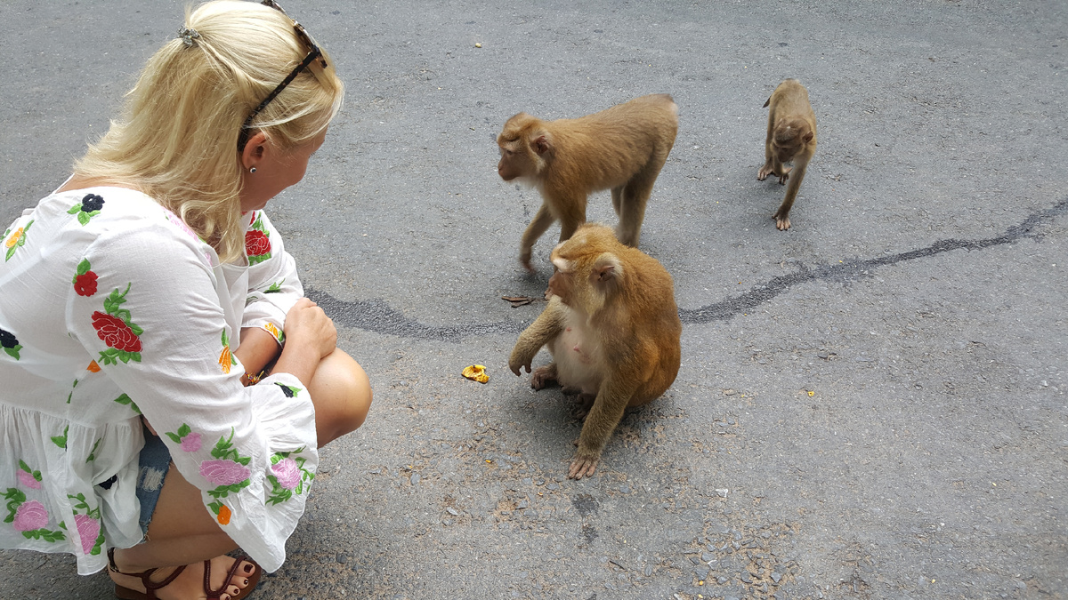 Гора обезьян и некоторые ее представители ))