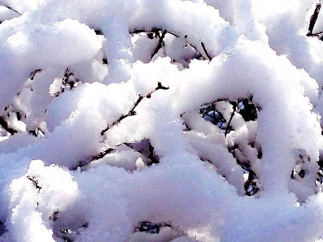 Фото автора 5 ноября 2024 года