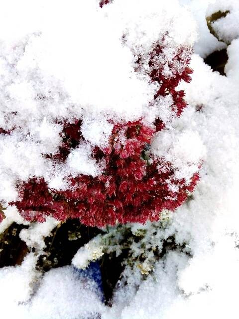 Фото автора 5 ноября 2024 года