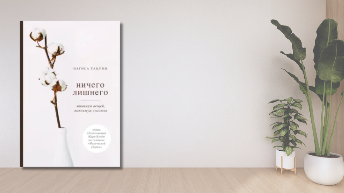 «Ничего лишнего»,  Нагиса Тацуми