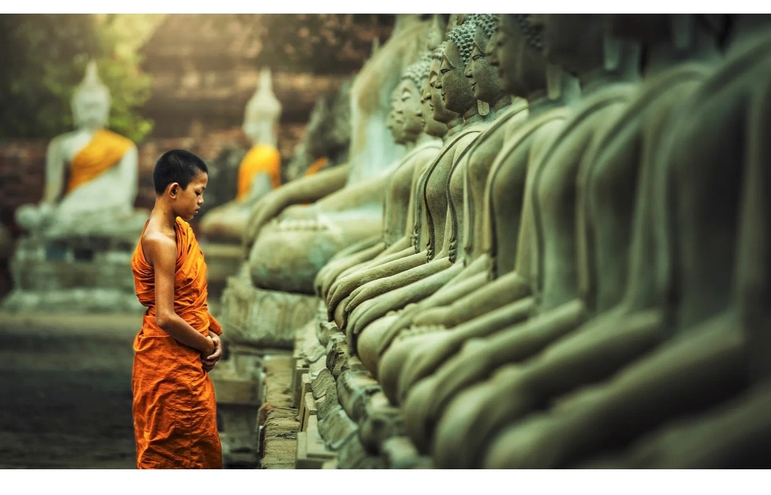 Фото из интернет 