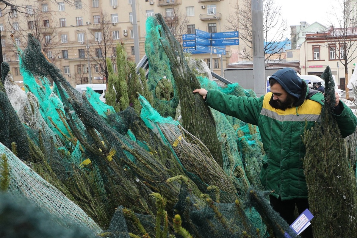 Фото © Сергей Булкин / NEWS.ru / ТАСС