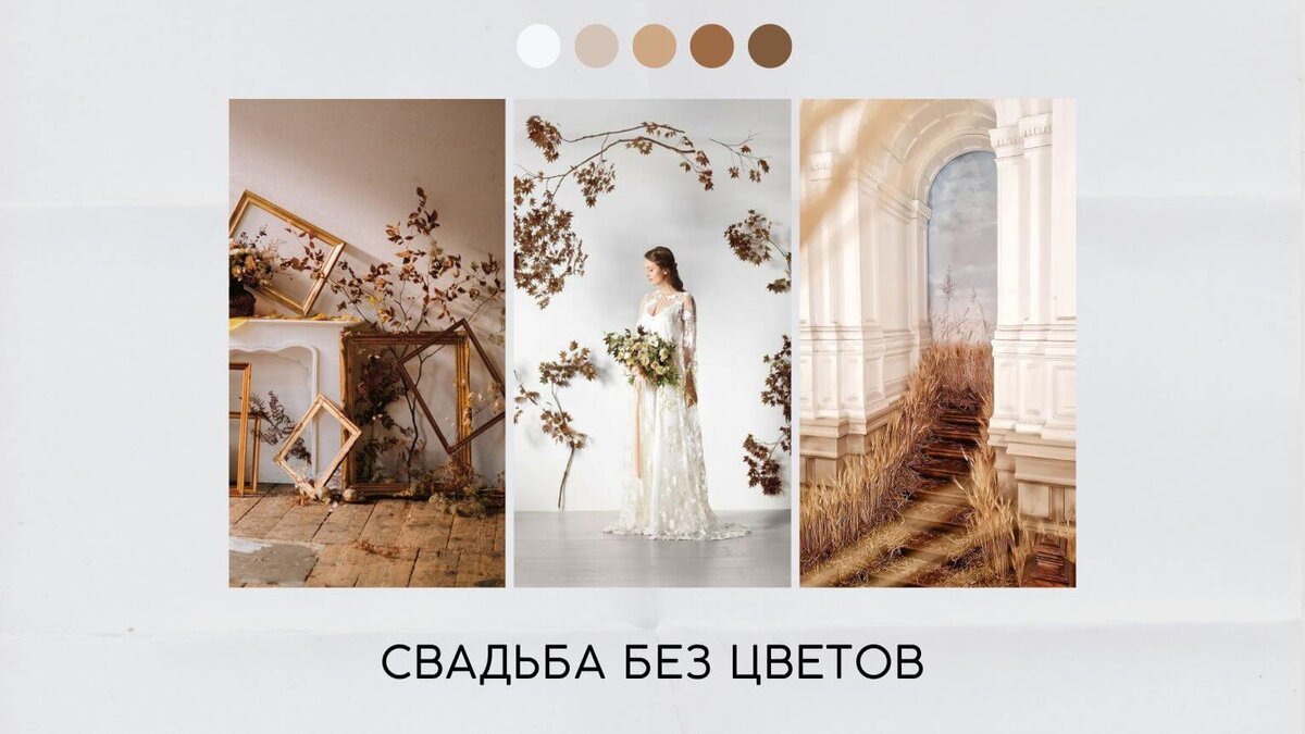 Свадьба без цветов 2024