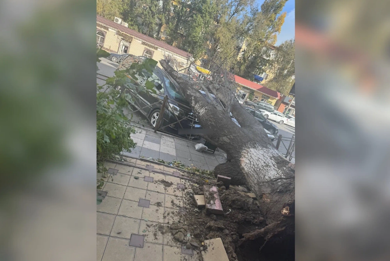 Обложка © Telegram / Голос Дагестана / новости Дагестана