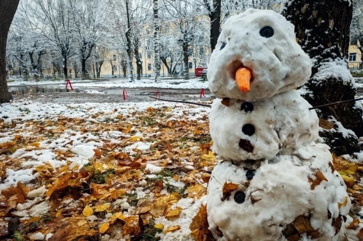    В Тверской области потеплеет до +8 градусов