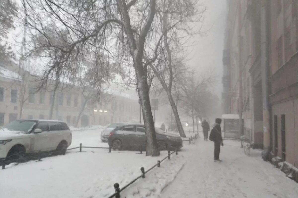    Челябинскую область 6 ноября накроют метели