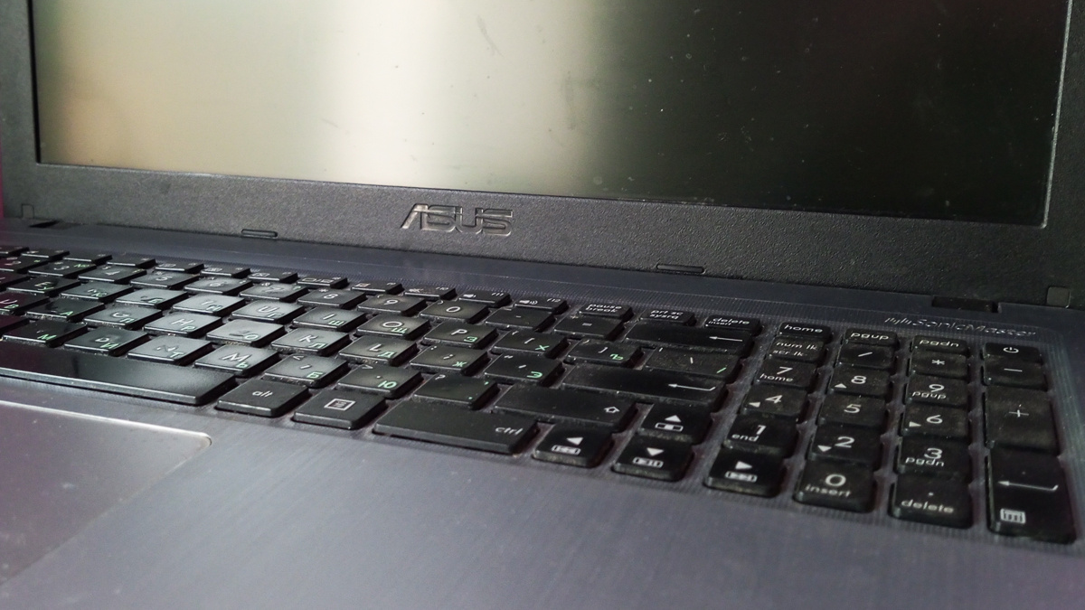 Младший родственник моего верного помощника