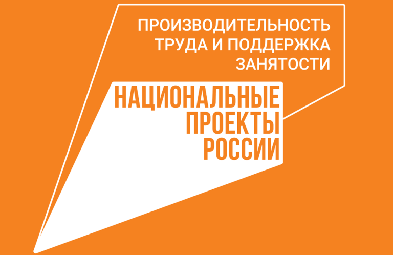    Оренбуржье закрепилось в группе лидеров рейтинга нацпроекта «Производительность труда» Алла Черкесатова