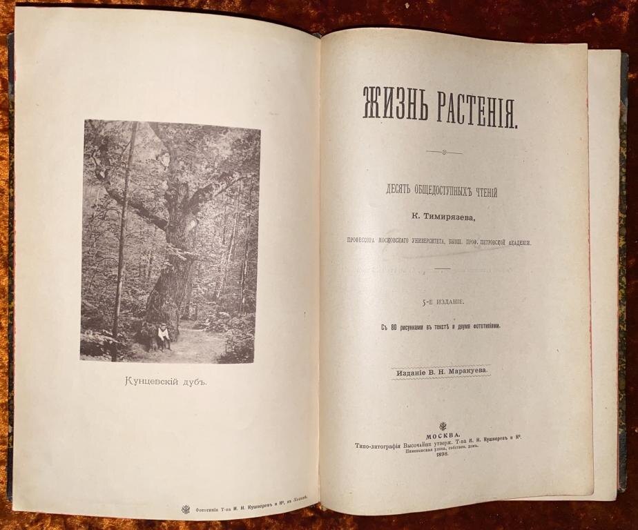 "Жизнь растения". К.А. Тимирязев. Фото с сайта auction.ru