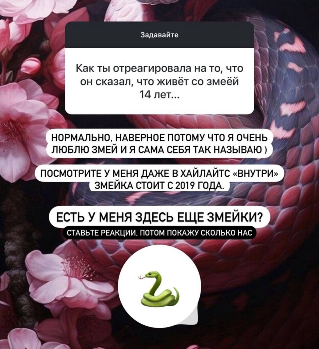 Анастасия Швецова не стала обижаться на Натана за то, что тот назвал ее змеей. Фото: соцсети