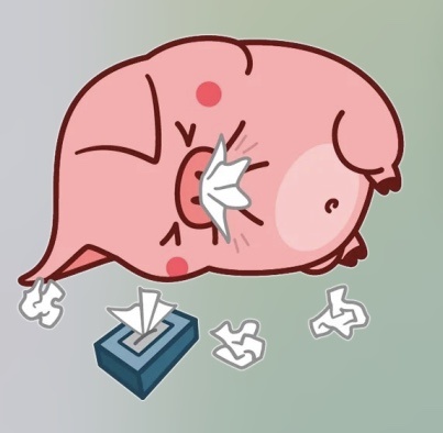 Картинка из свободного доступа 