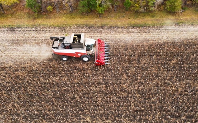   В Башкортостане урожай подсолнечника к 5 ноября превысил прошлогодний показатель 90 тысяч тонн