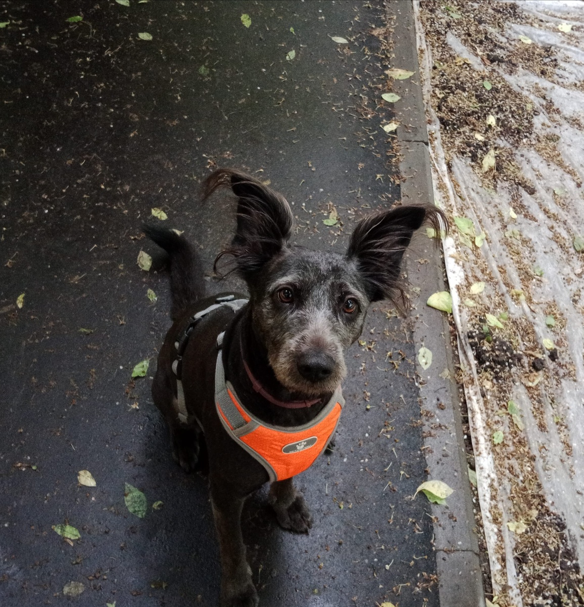 Как думаете?