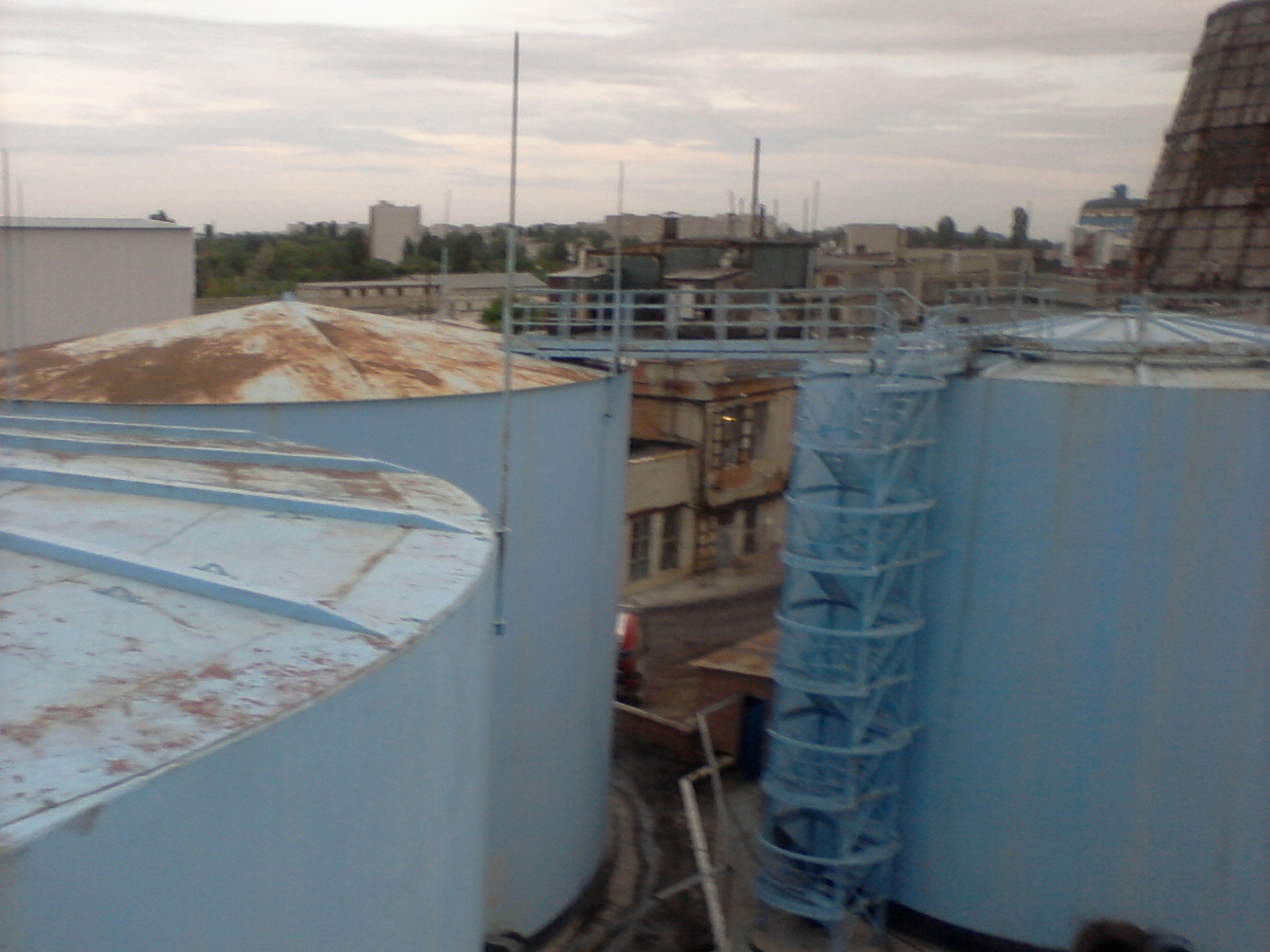 Фото из личного архива Daria Flame Princess