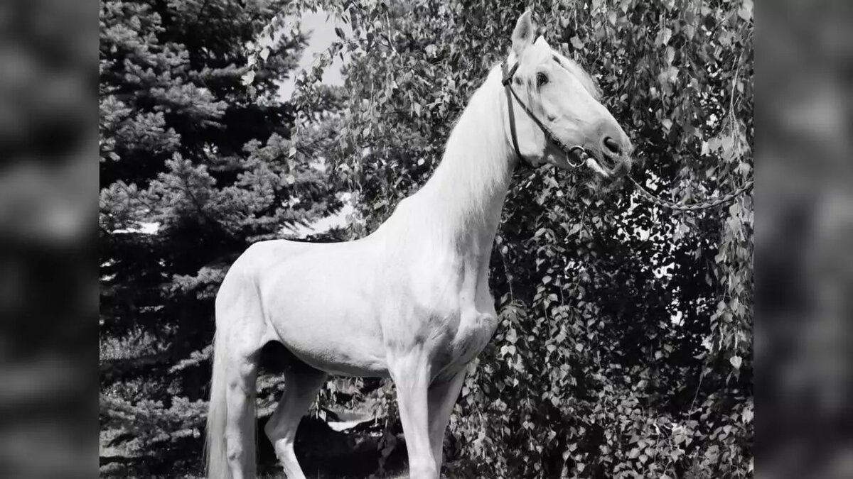     Источник: пресс-служба челябинского зоопарка