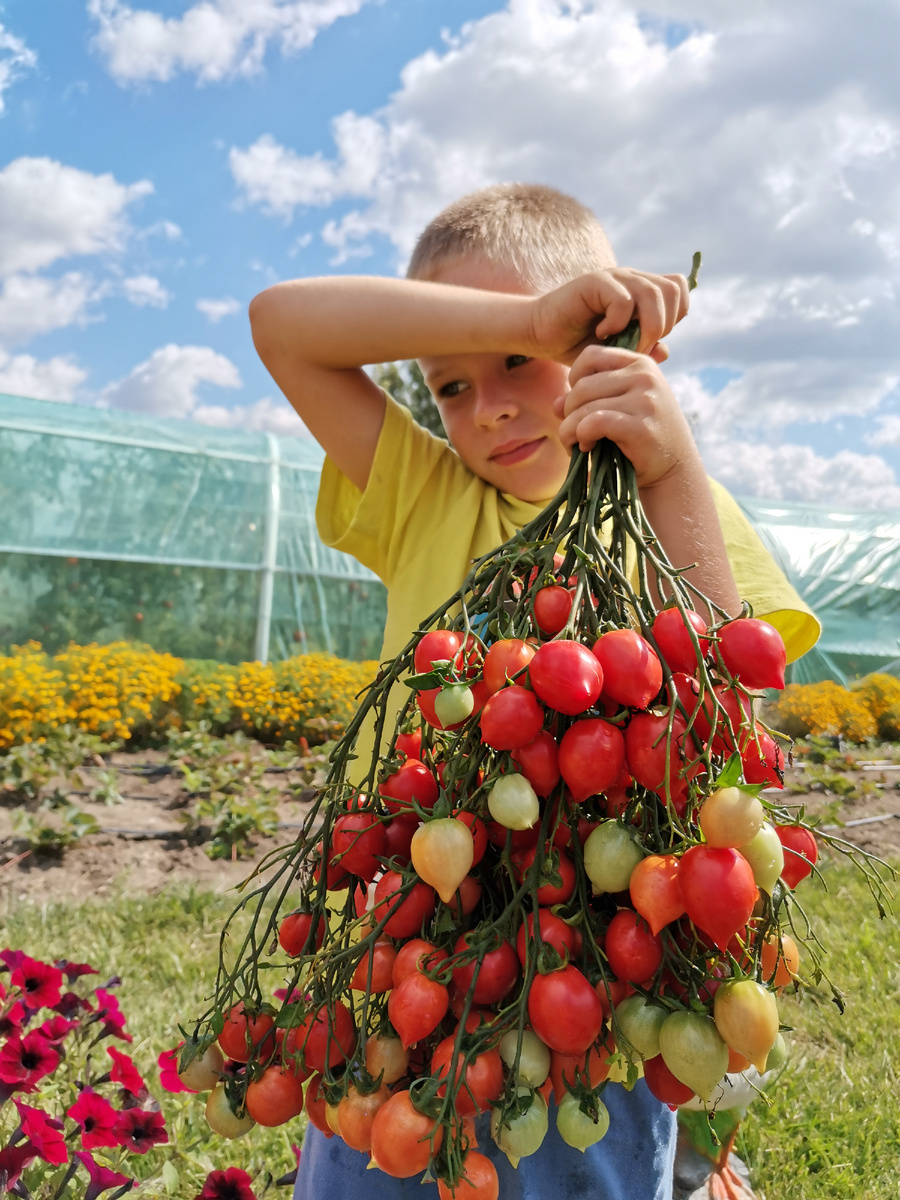 Одна из первых фотографий. Это Димка, мой старший сын. Здесь ему всего 5 лет. 