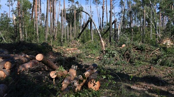    © Sputnik / Станислав Андросик