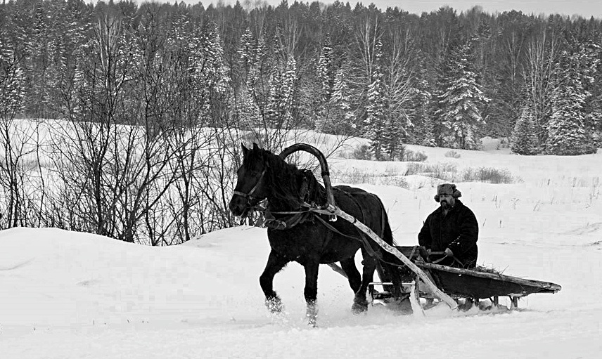 Фото из открытых источников.