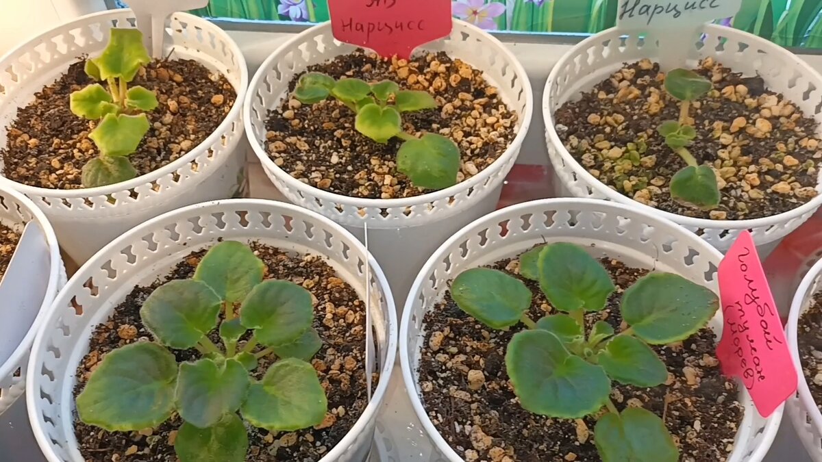 Наши малыши! <3