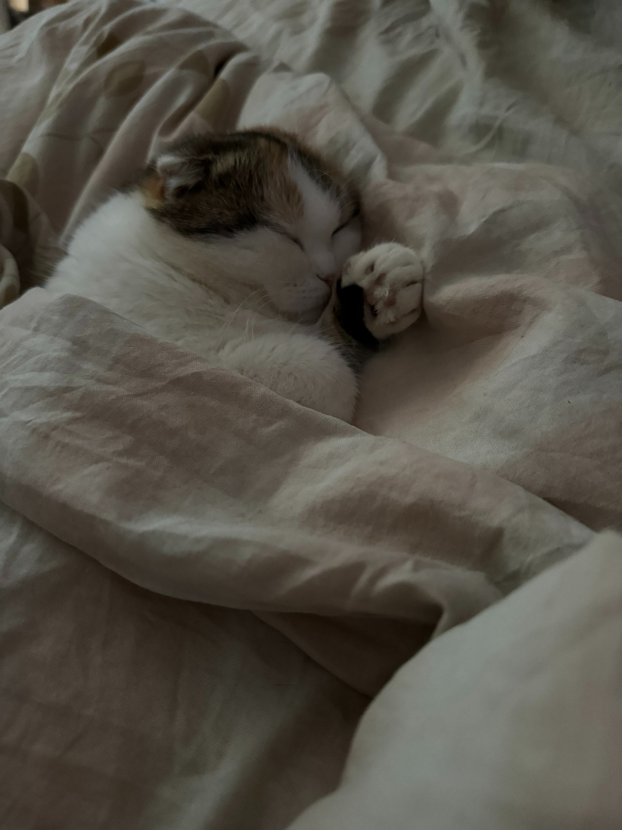 (А ее можно фотографировать вечно)