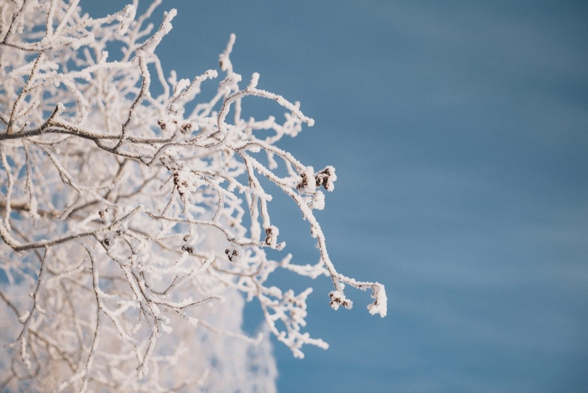    Фото: "Республика" / Лилия Кончакова