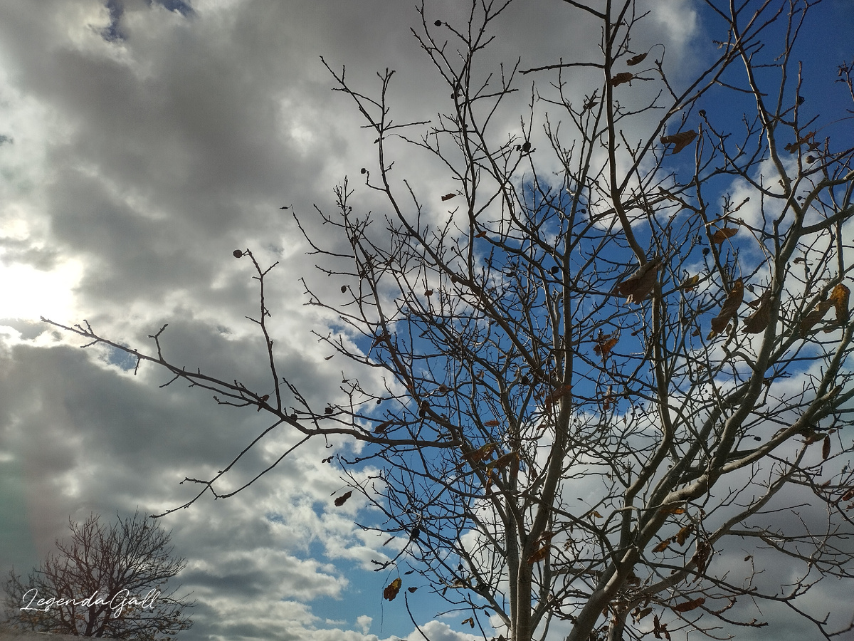 Небо постепенно очищается