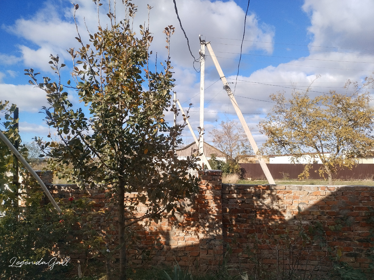 А так посмотришь - чем не лето...