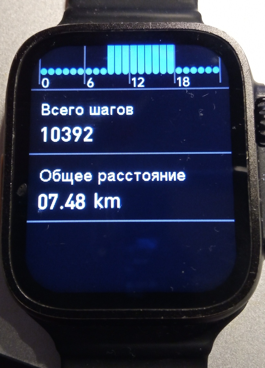 Фото автора. 05.11.2024 г.