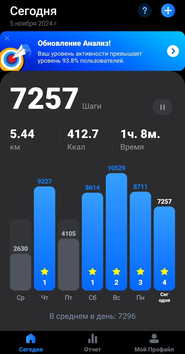 Фото автора. 05.11.2024 г.