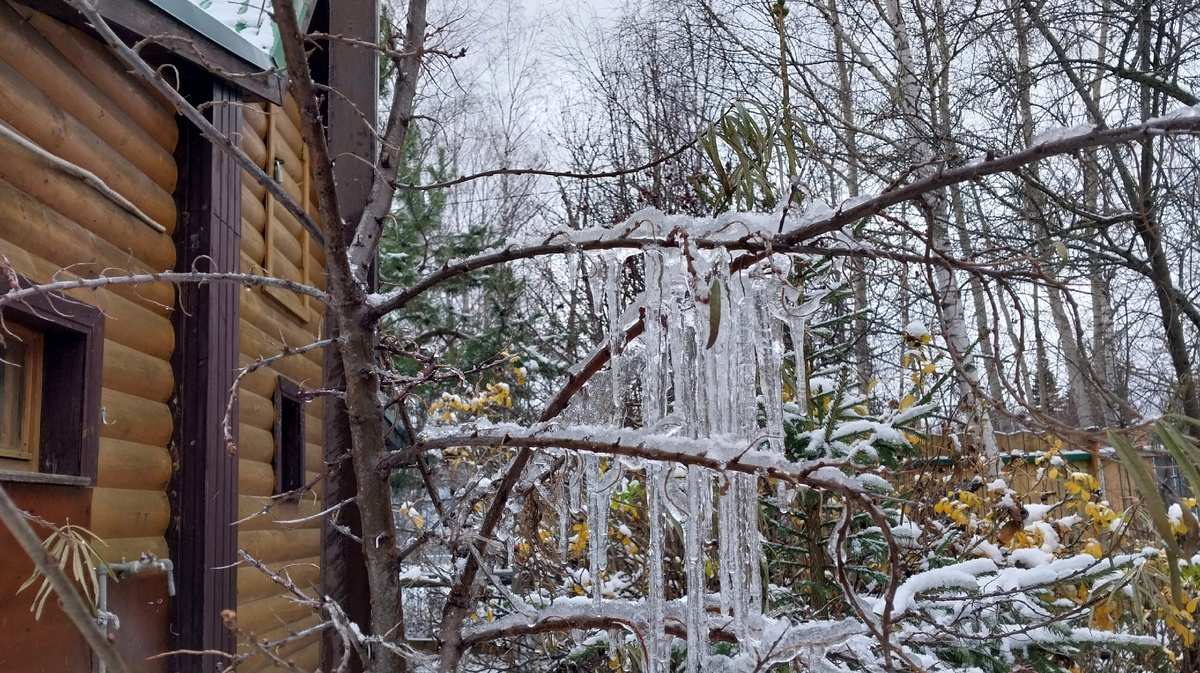 Вот такая "зимняя сказка" образовалась у меня за баней. Красота!