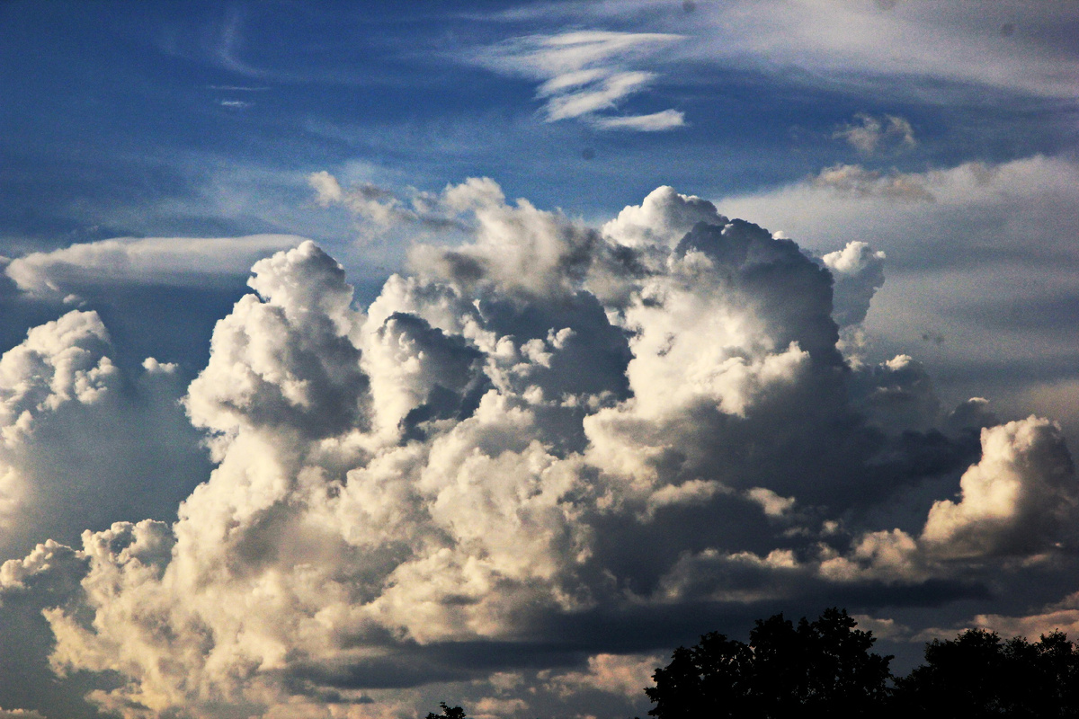 фото https://vk.com/id296798908?from=search