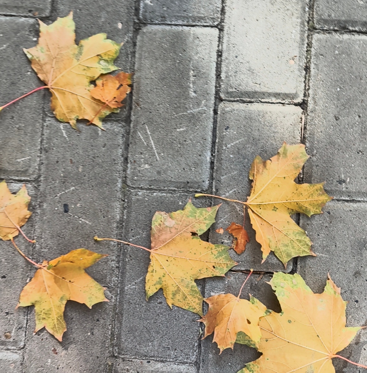 Всё фотографии в статье авторские