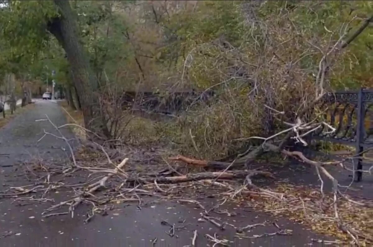    Волгоградцы засняли последствия нашествия штормового ветра