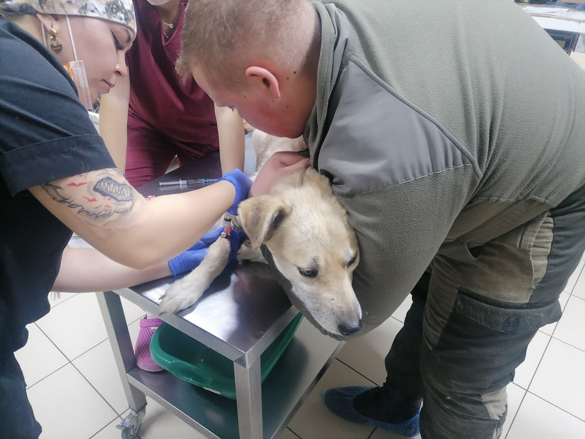 Так мы держали Вику перед операцией