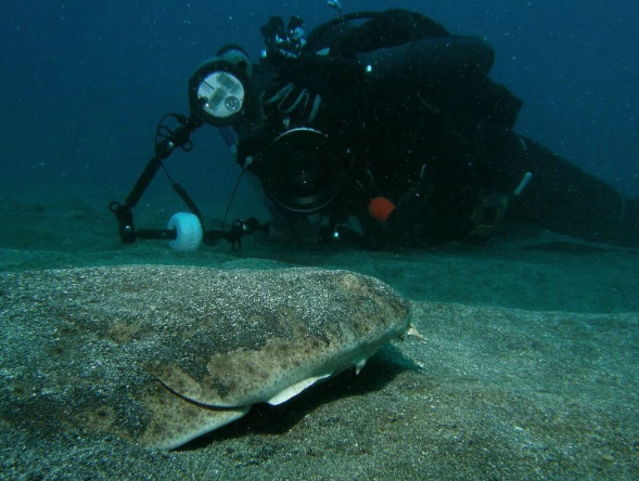 Дайте мне мое личное пространство! Хватит меня тискать!