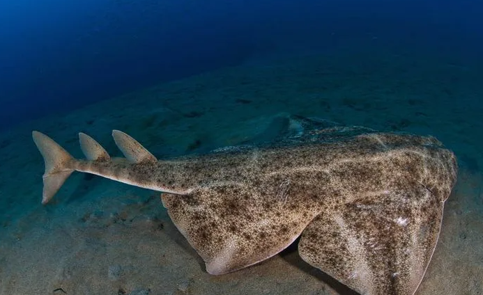 Ну где же моя еда!?