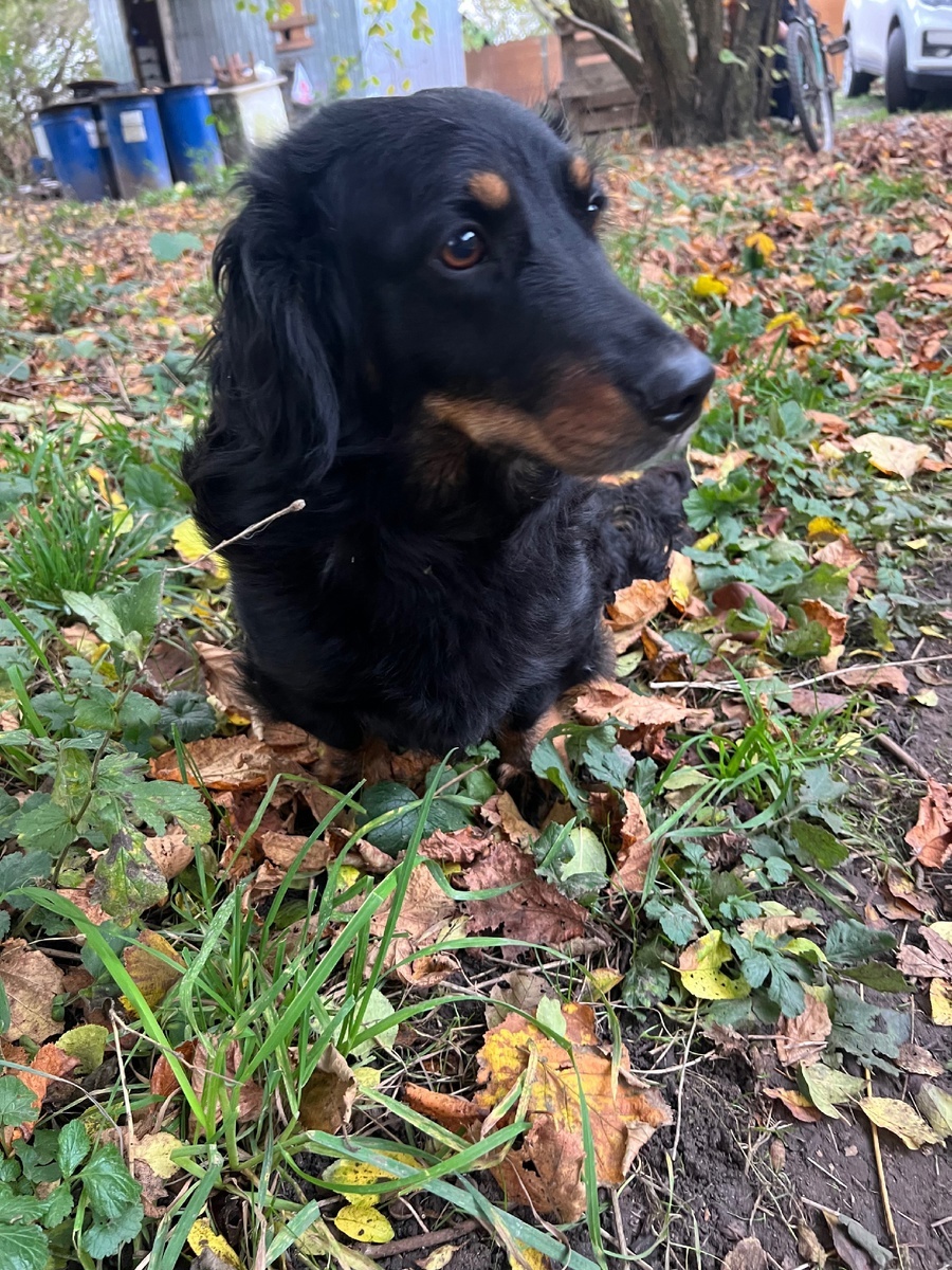 Степан (можно листать) ----->