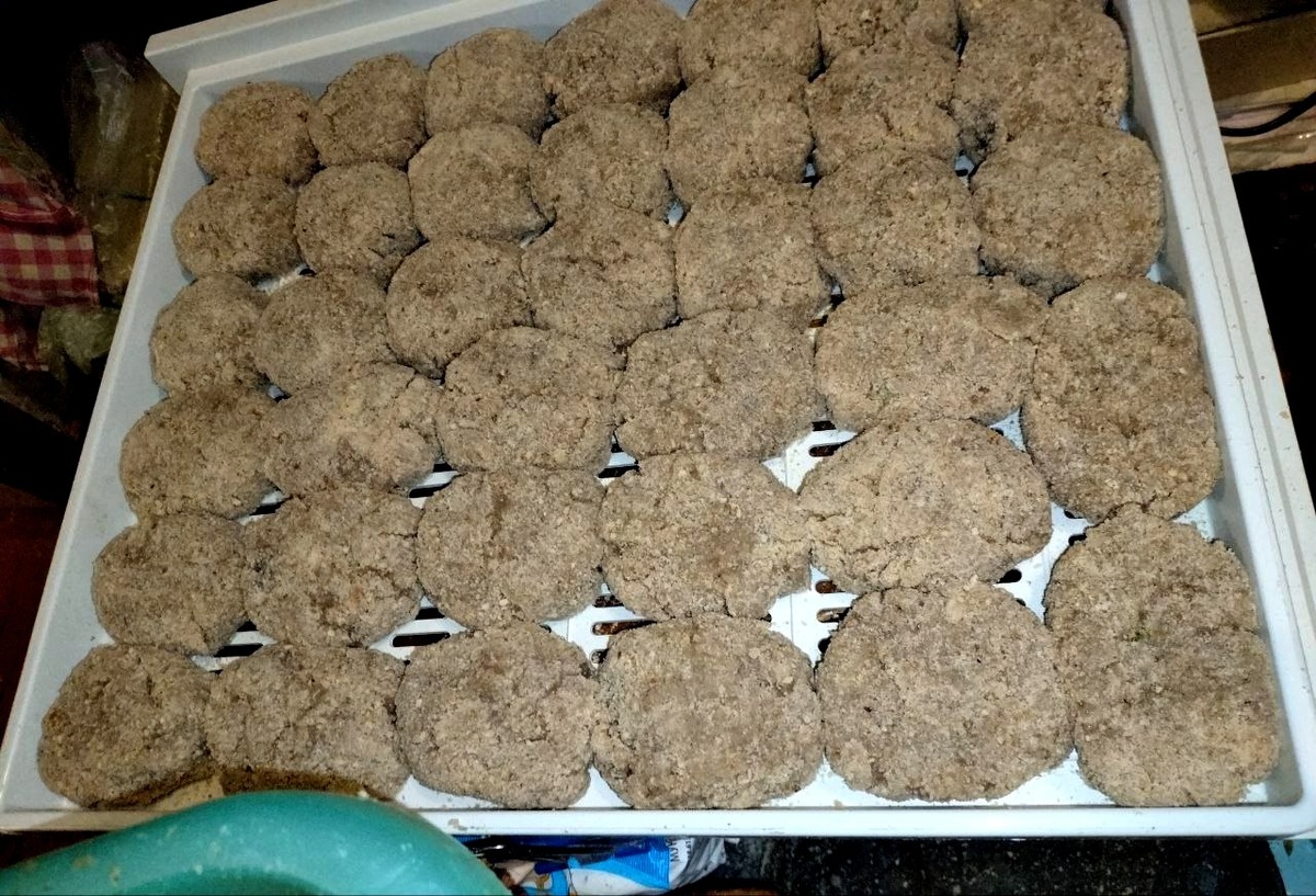 ЛИЧНО Я СБИЛАСЬ СО СЧЁТА: 111 ИЛИ 110