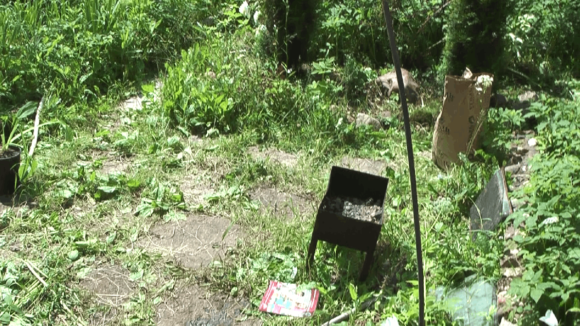 Бетонные плиты перед фасадом дачного дома