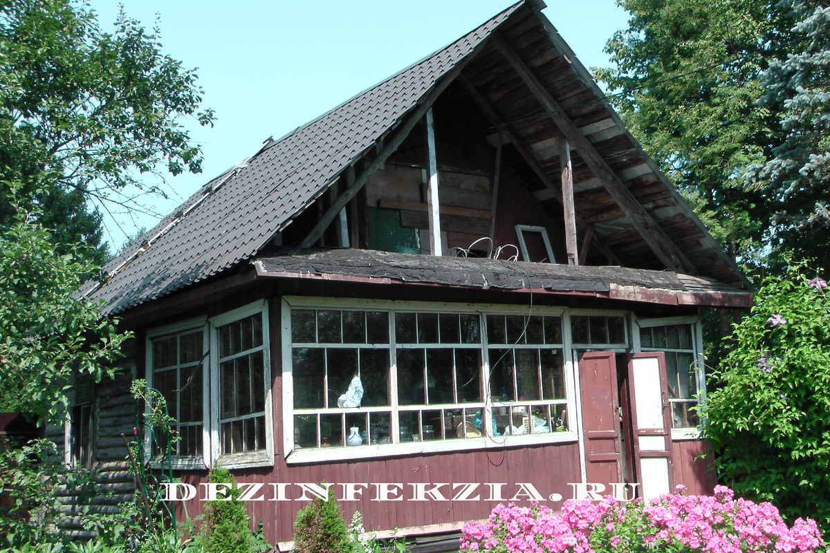 Наш дачный дом 