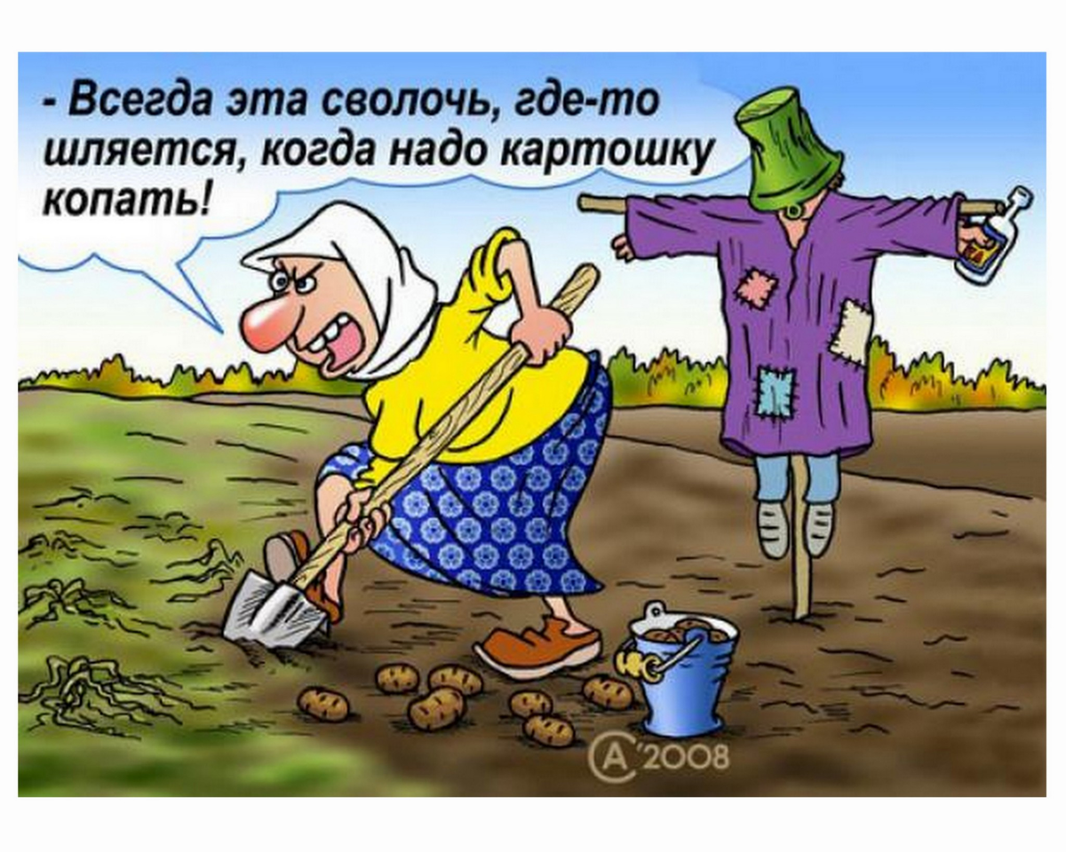 Пора на дачу прикольные картинки