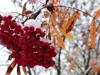    Фото: ГТРК "Карелия"