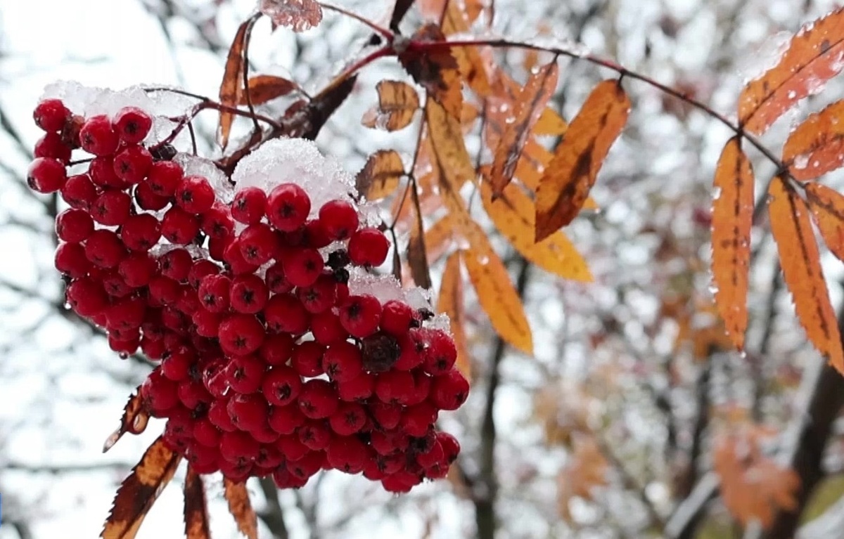    Фото: ГТРК «Карелия»