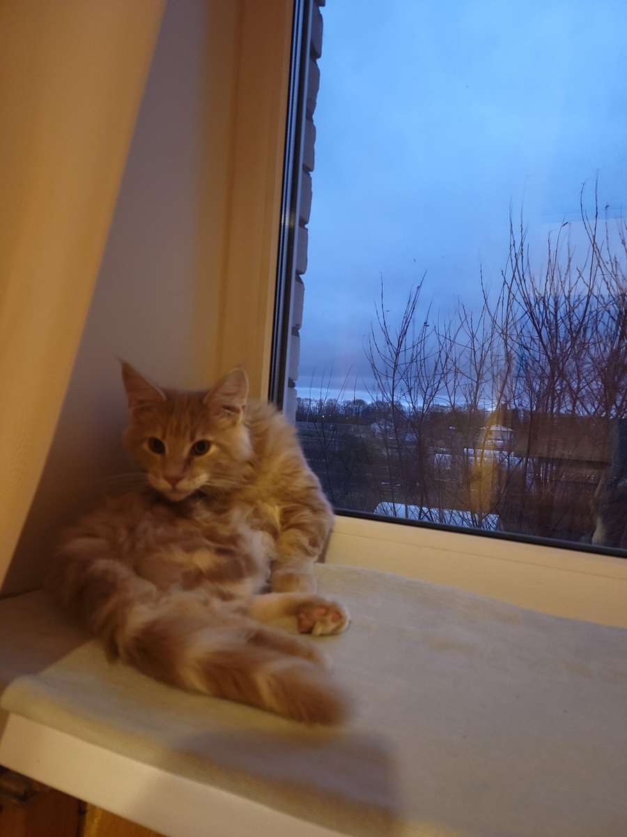 Собственно дизайнер по обработке дверей и других поверхностей)