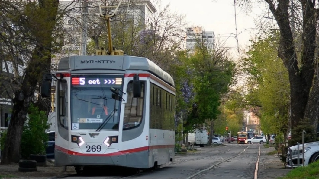    Фото: пресс-служба администрации Краснодара/krd.ru