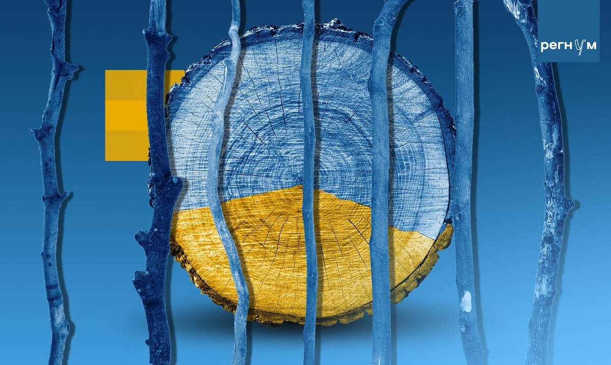     / Источник: © ИА Регнум